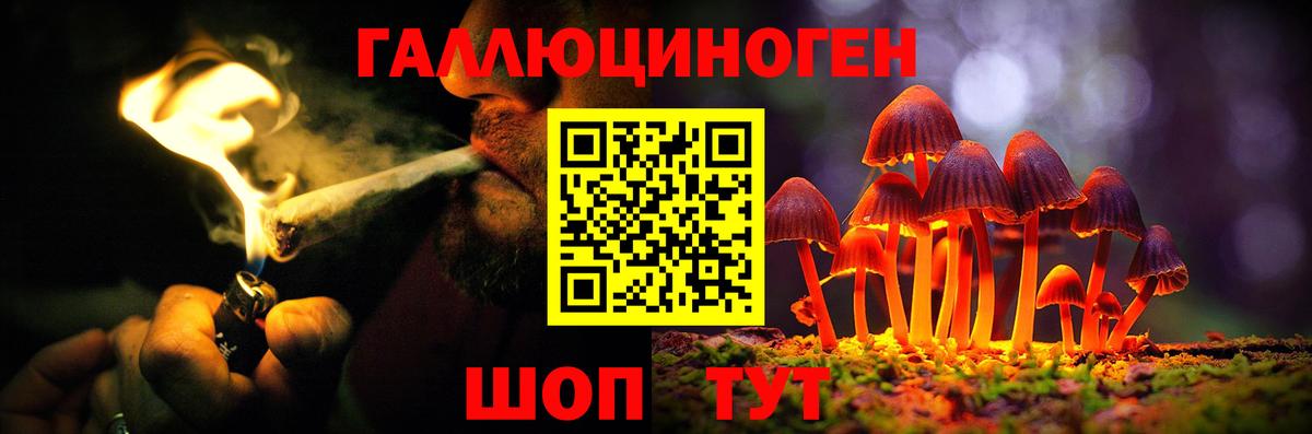 цены наркотик  Вход с VPN  Красногорск  Галлюциногенные грибы Psilocybine cubensis 